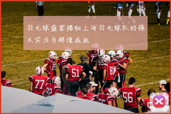 羽毛球盛宴揭秘上海羽毛球队的强大实力与辉煌成就