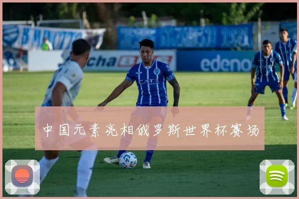中国元素亮相俄罗斯世界杯赛场