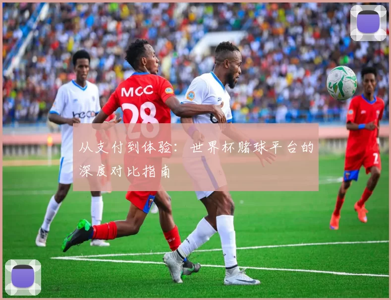 从支付到体验:世界杯赌球平台的深度对比指南