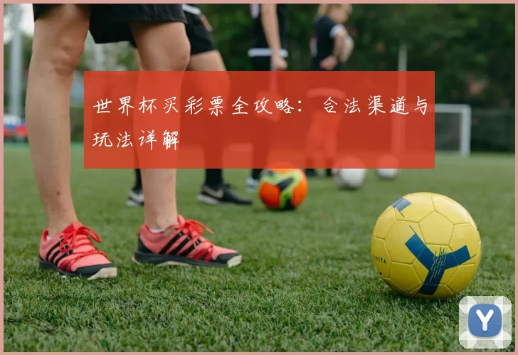 世界杯买彩票全攻略:合法渠道与玩法详解