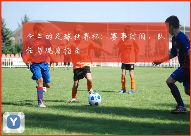 今年的足球世界杯:赛事时间、队伍与观看指南