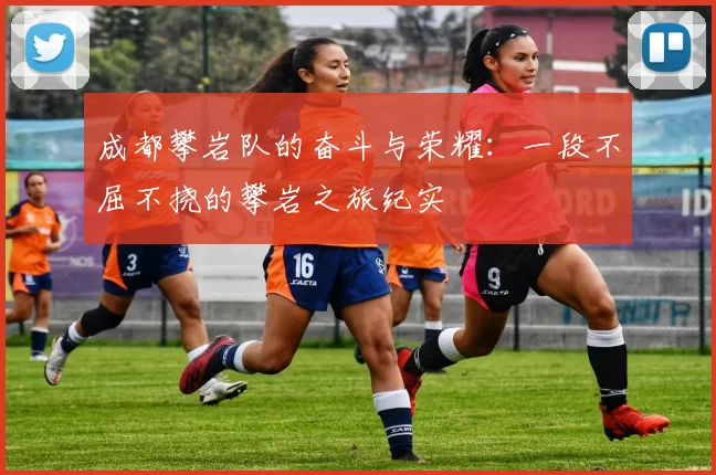 成都攀岩队的奋斗与荣耀：一段不屈不挠的攀岩之旅纪实