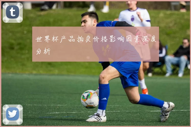 世界杯产品拍卖价格影响因素深度分析