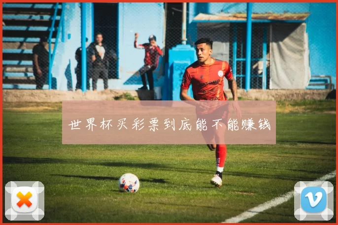 世界杯买彩票到底能不能赚钱