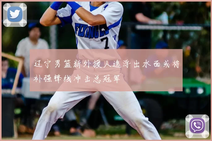 辽宁男篮新外援人选浮出水面或将补强锋线冲击总冠军