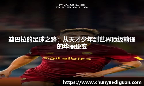 壹号电子娱乐